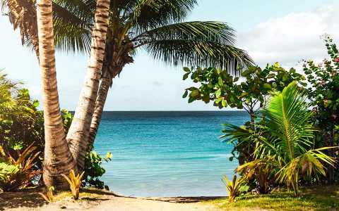 Staying safe during your summer plans